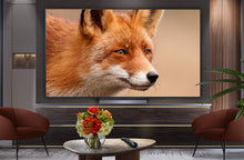 LG OLED77C54LA 77" 4K OLED evo Smart TV | Dolby Vision | SAUK - smartappliancesuk